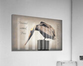  Not Weird But Limited Edition Acrylic Print