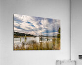 McClellanville Inland Waterfront Acrylic Print