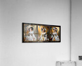 Portraits Of Victorian Woman In Elegant Timeless Fashion Mesmerizing AI Concept Art by Xzendor7 Acrylic Print