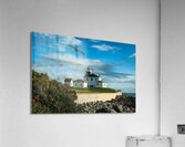 Seagull Flies Near Watch Hill Lighthouse in Rhode Island Acrylic Print