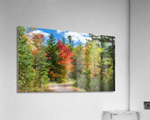 A Dirt Road Less Travelled Acrylic Print