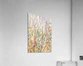 Wild Grasses Acrylic Print