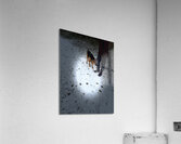 Scenes from the Trail- Hunting for Treats Acrylic Print