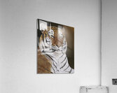 Beat the Heat Impression acrylique