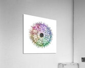 Whimsical Kaleidoscope Acrylic Print