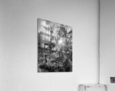 Winters Frosty Embrace for the Scottish Highlands Acrylic Print