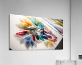 A Quiet Riot a Bold Ballet.   19  Acrylic Print