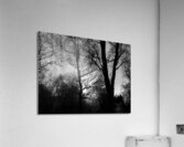  Winters Light and Shadow in the Scottish Highlands Acrylic Print