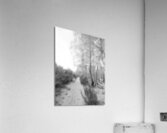 Winter Snow in the Scottish Highlands  Acrylic Print