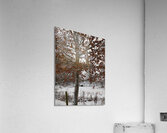 Winter Came Early to the Scottish HIghlands  Acrylic Print