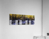 Golden Reverie Acrylic Print