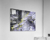 Frowsty Acrylic Print