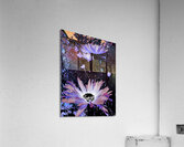 Cool Rocking Surreal Daises  Acrylic Print