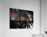 Abstract Dark Daisy on a Dark Abstract Background Acrylic Print