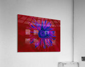 Abstract Neon Daisy Acrylic Print