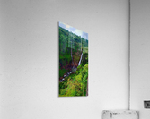 IMG_67395795_23469540 Acrylic Print