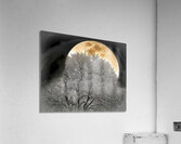OAK MOON Holt RezN888  Acrylic Print