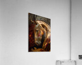 Horse 50 Acrylic Print
