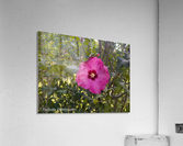 Inspired Elegance Acrylic Print