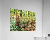 Rustic Fence Acrylic Print