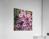 Morning Flowers Acrylic Print