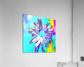 Abstract Daisy Flower Multicoloured Background Acrylic Print