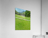 y5 45096 Acrylic Print