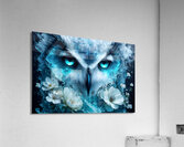 Owl Acrylic Print