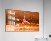 Greater Flamingos 2 Acrylic Print