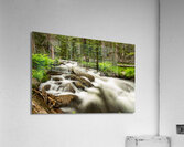 Roosevelt National Forest Stream Acrylic Print