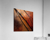 Bare Branches at Sundown Acrylic Print