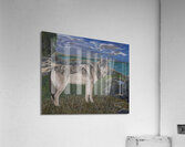 Respectful One Takaya Acrylic Print