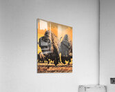 Vintage Buffalo Art by Fred Ludekens Acrylic Print