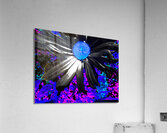 Abstract Vibrant Neon Daisy Flower Acrylic Print