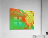 Abstract Cone Flower Acrylic Print