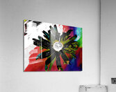 Abstract Black Daisy Acrylic Print