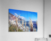 In the wind  Acrylic Print