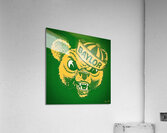 Vintage Baylor Bear Sailor Mascot Art Acrylic Print