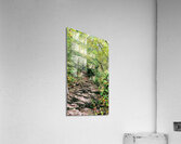 RockyTrail  Acrylic Print