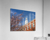 Cherry blossoms frame the facade of the Delaware City Hall in Oh Acrylic Print