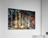 Treetops Acrylic Print