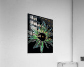 Abstract Daisy Green Petals Acrylic Print