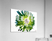 Abstract Green and Blue Daisy Acrylic Print