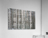 PRICKLY TOGETHERNESS Acrylic Print