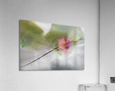 Earth i Acrylic Print