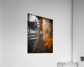 Street scene  Acrylic Print