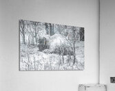 Cloaked In Snow Acrylic Print
