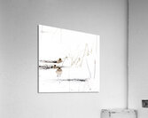 Snow Birds Acrylic Print