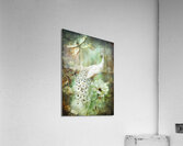 Feathers Of Grace Acrylic Print