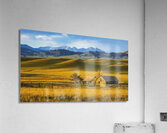 MONTANA VALLEY AND FOOTHILLS GRASSLANDS Acrylic Print